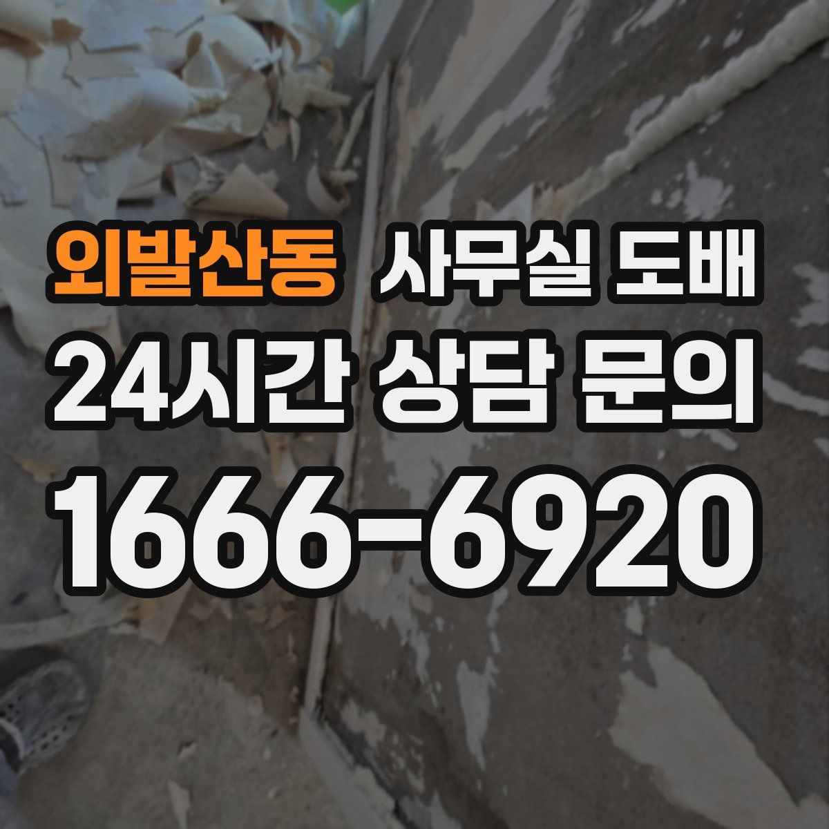 외발산동 사무실 도배