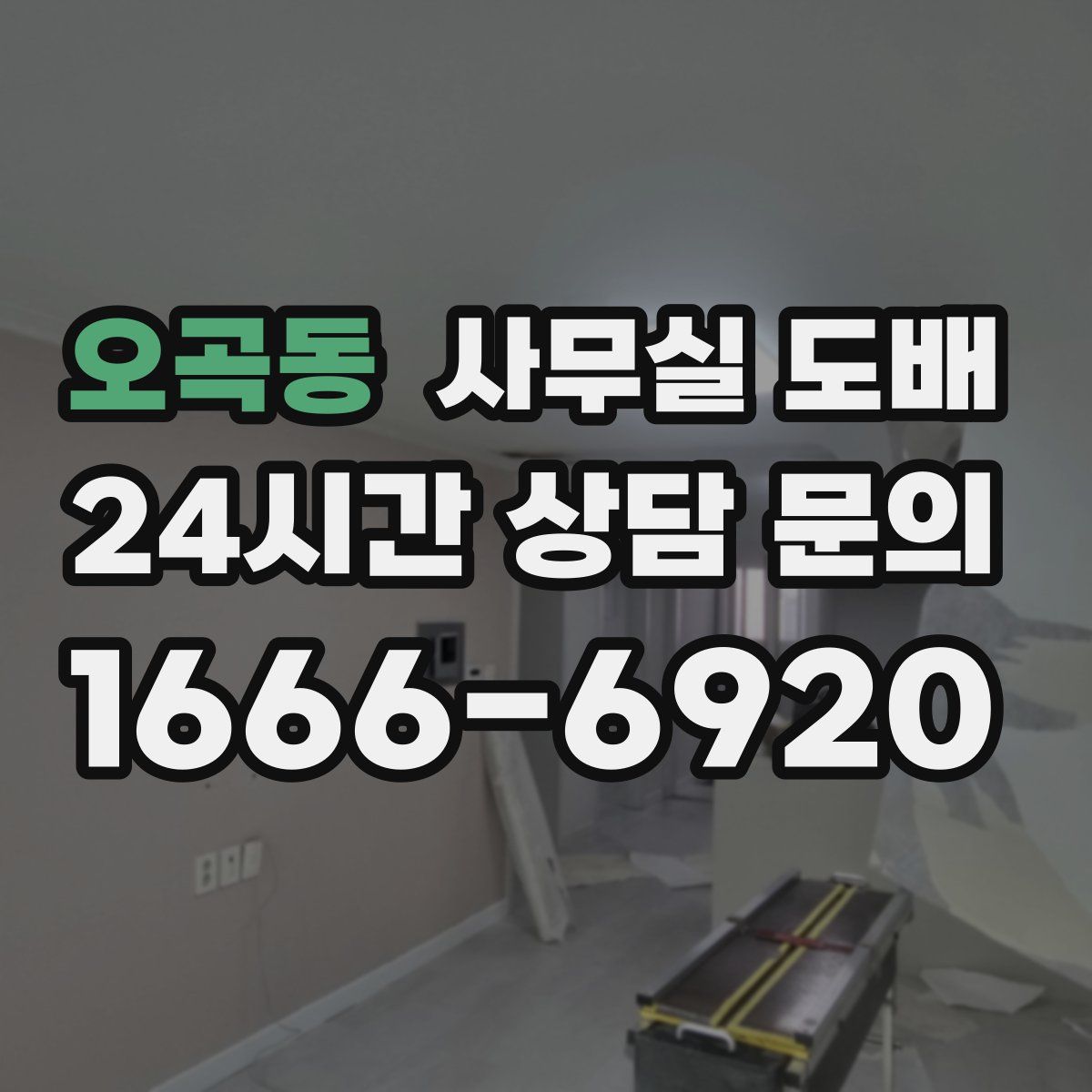 오곡동 사무실 도배