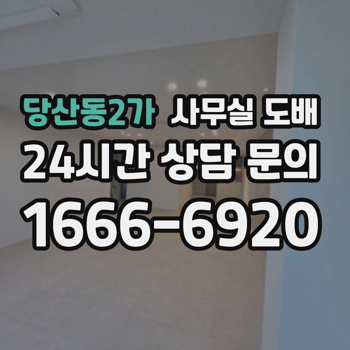 당산동2가 사무실 도배