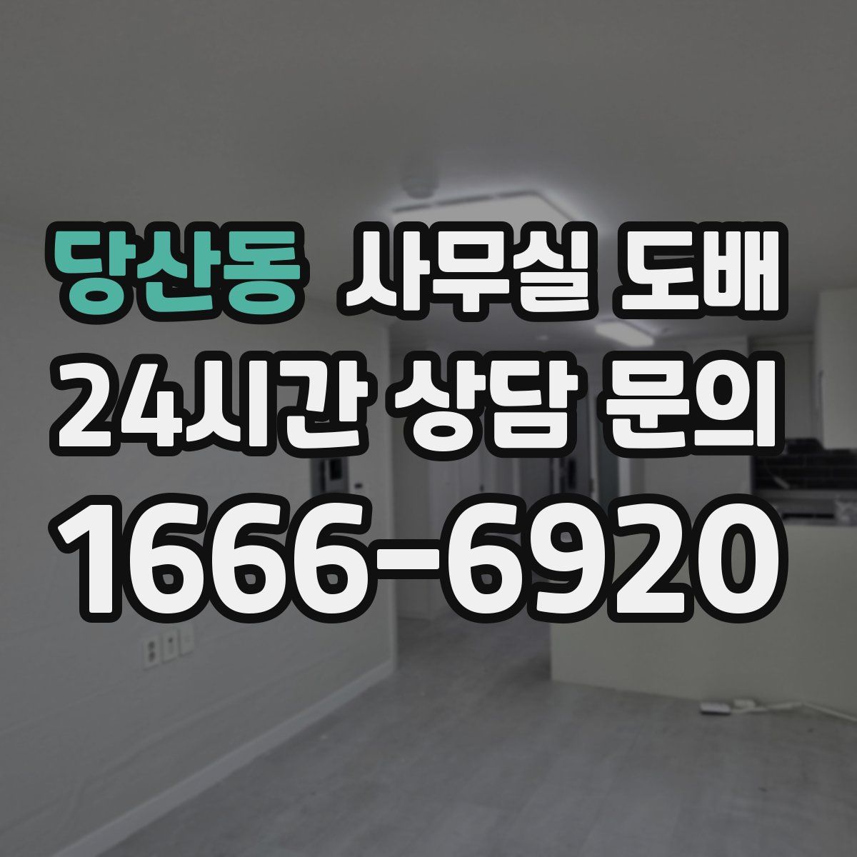 당산동 사무실 도배