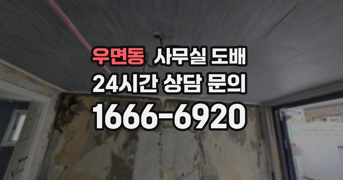 우면동 사무실 도배