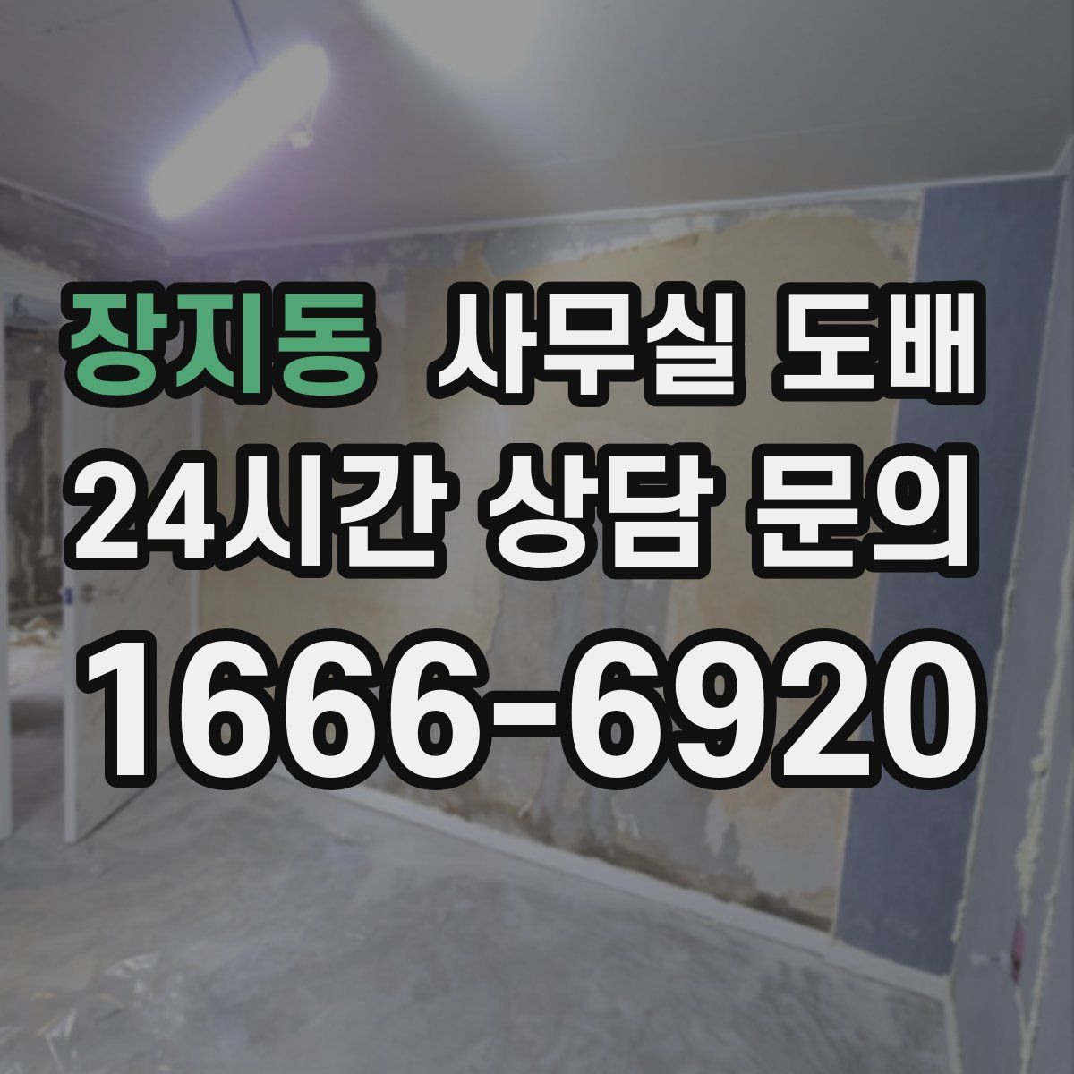 장지동 사무실 도배