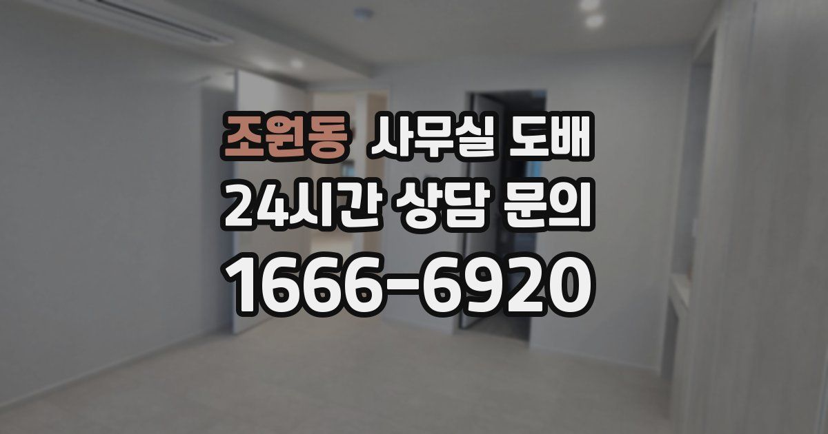조원동 사무실 도배