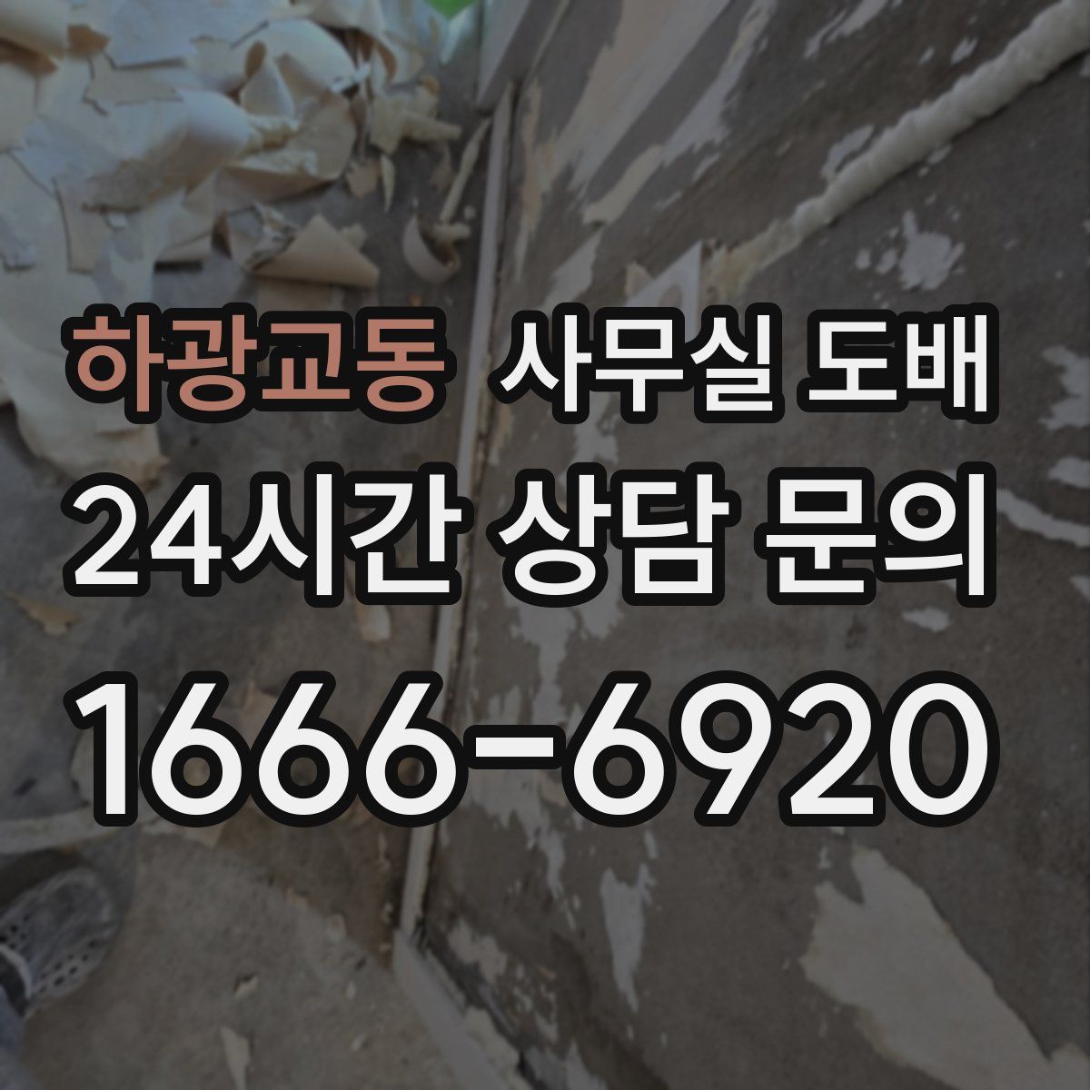 하광교동 사무실 도배