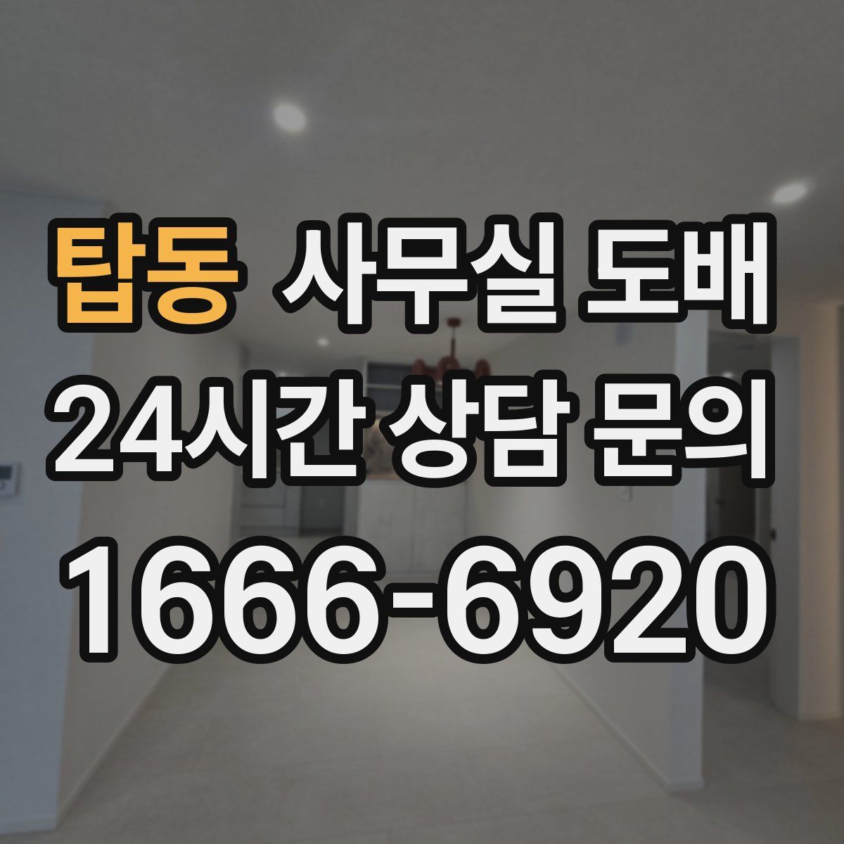 탑동 사무실 도배