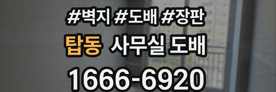 탑동 사무실 도배