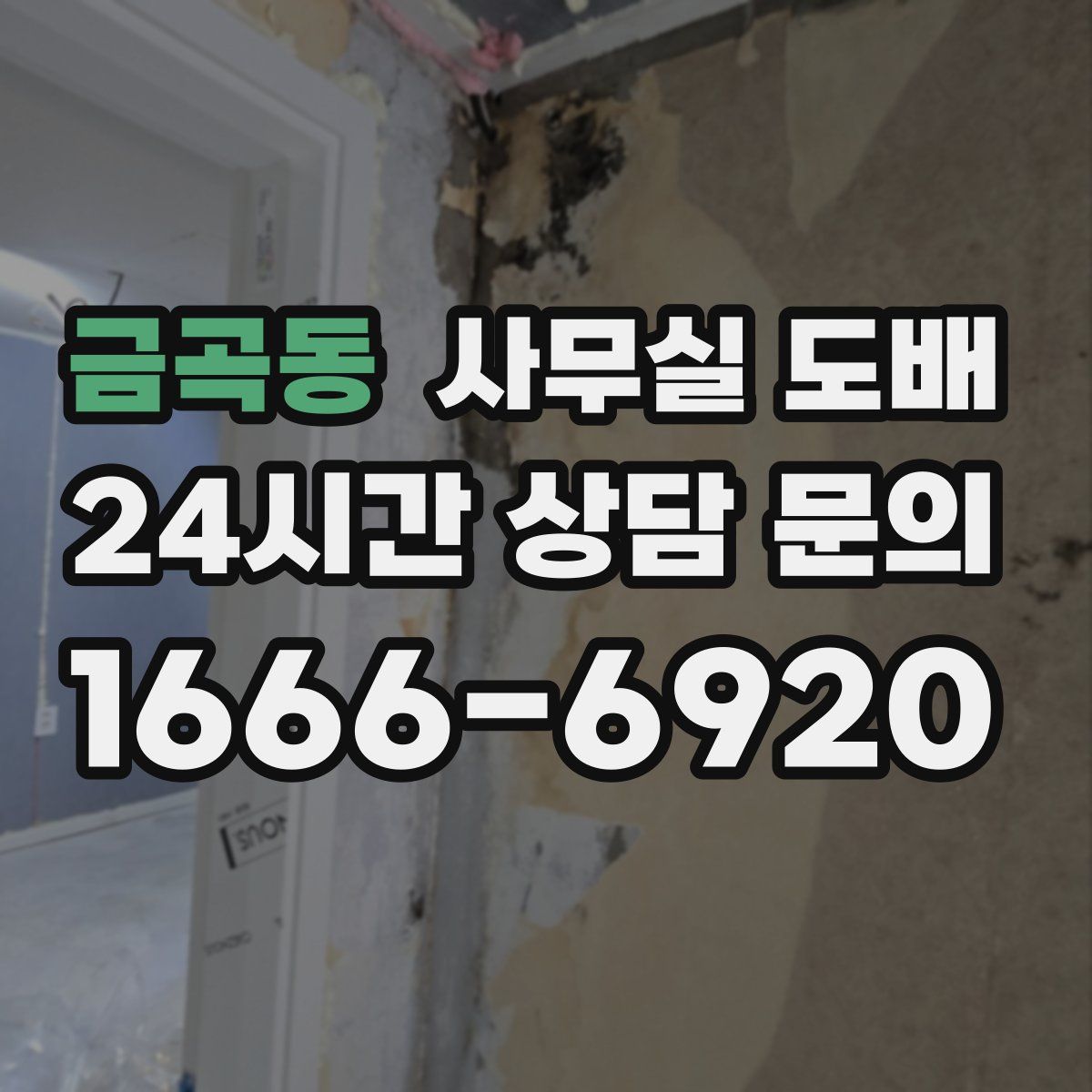 금곡동 사무실 도배