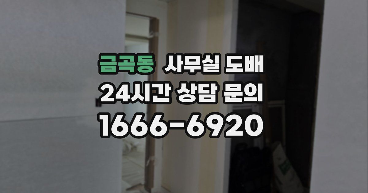 금곡동 사무실 도배