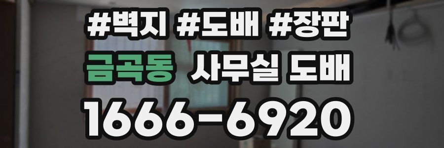 금곡동 사무실 도배