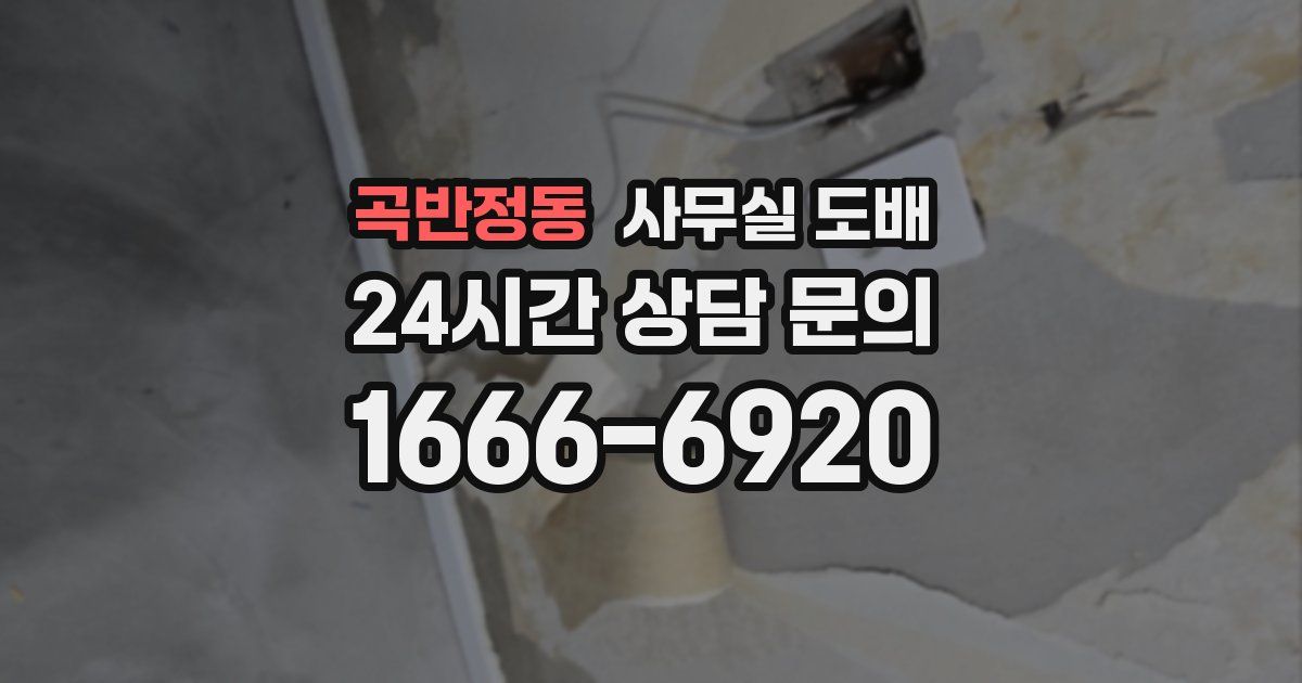 곡반정동 사무실 도배