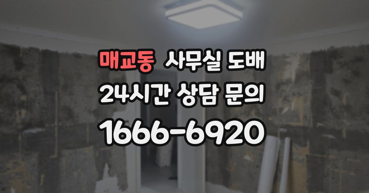 매교동 사무실 도배