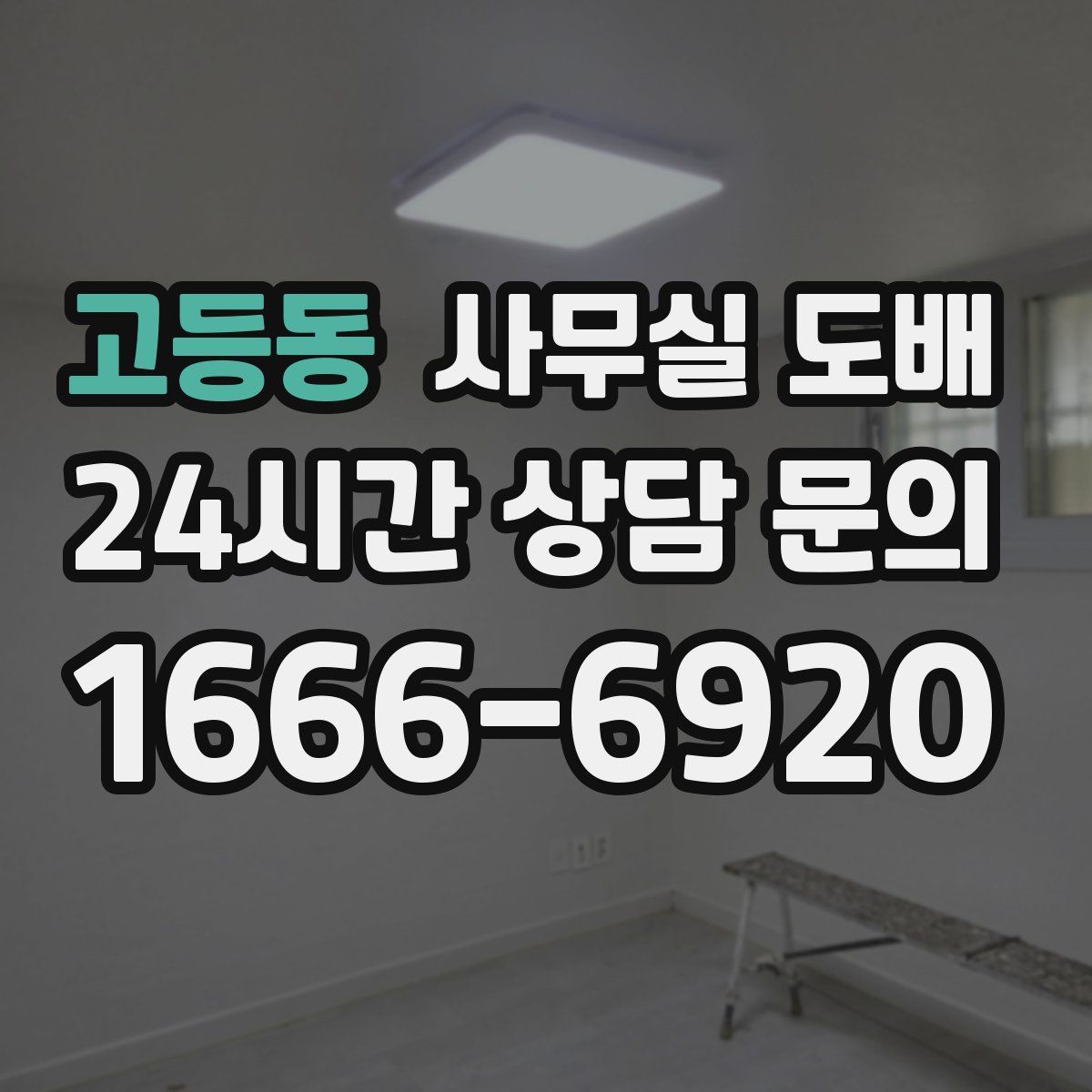 고등동 사무실 도배