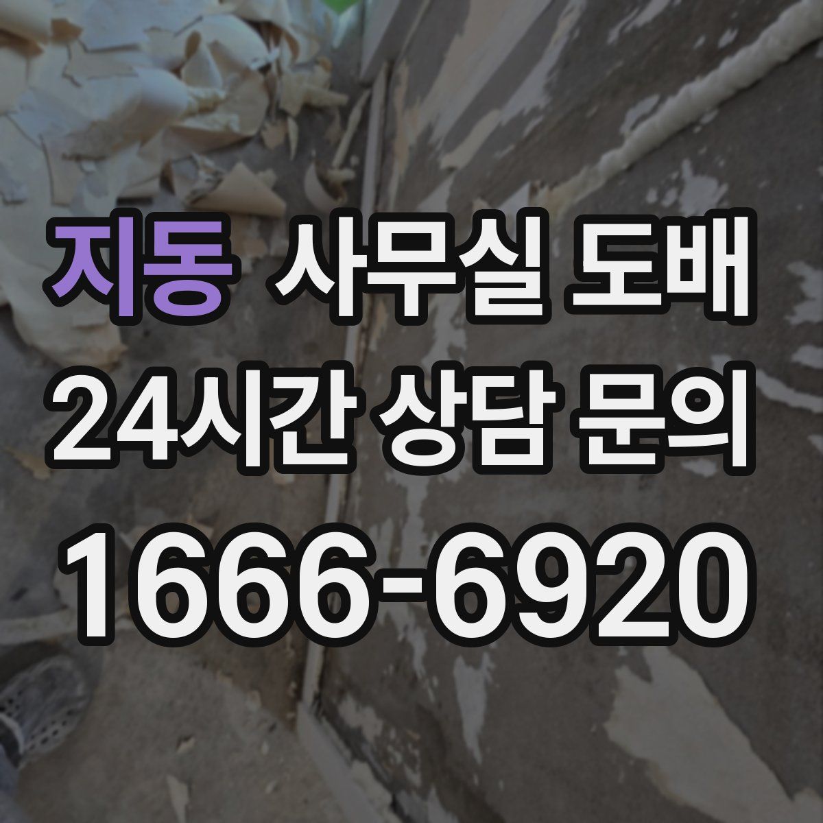 지동 사무실 도배
