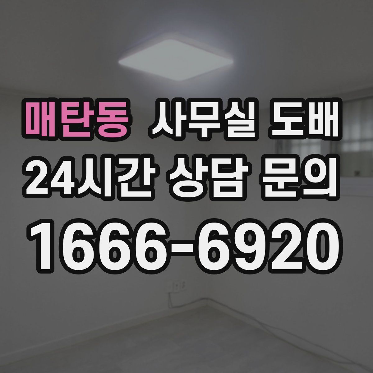 매탄동 사무실 도배