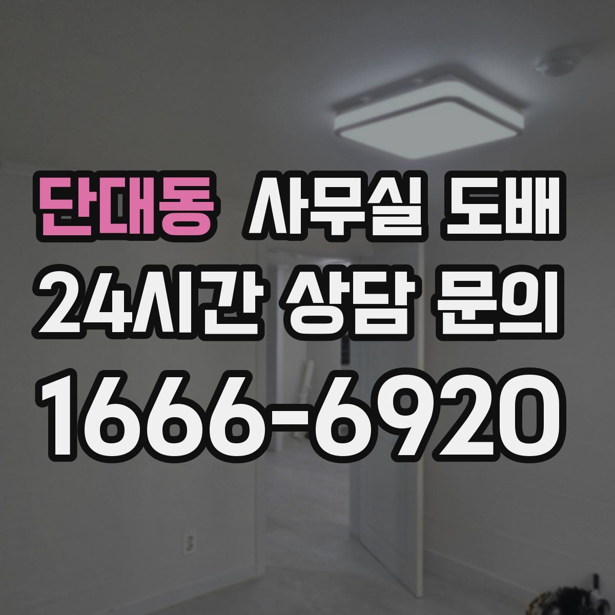 단대동 사무실 도배