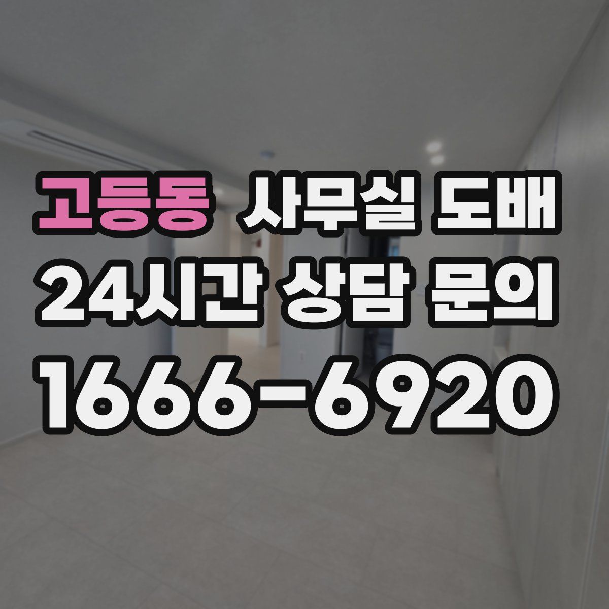 고등동 사무실 도배