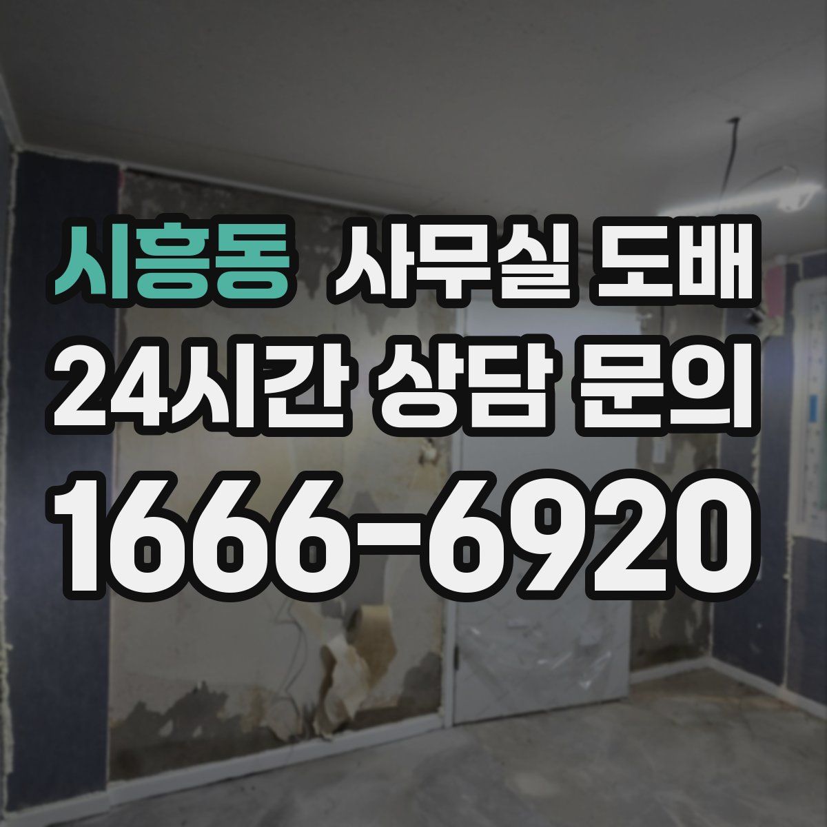 시흥동 사무실 도배