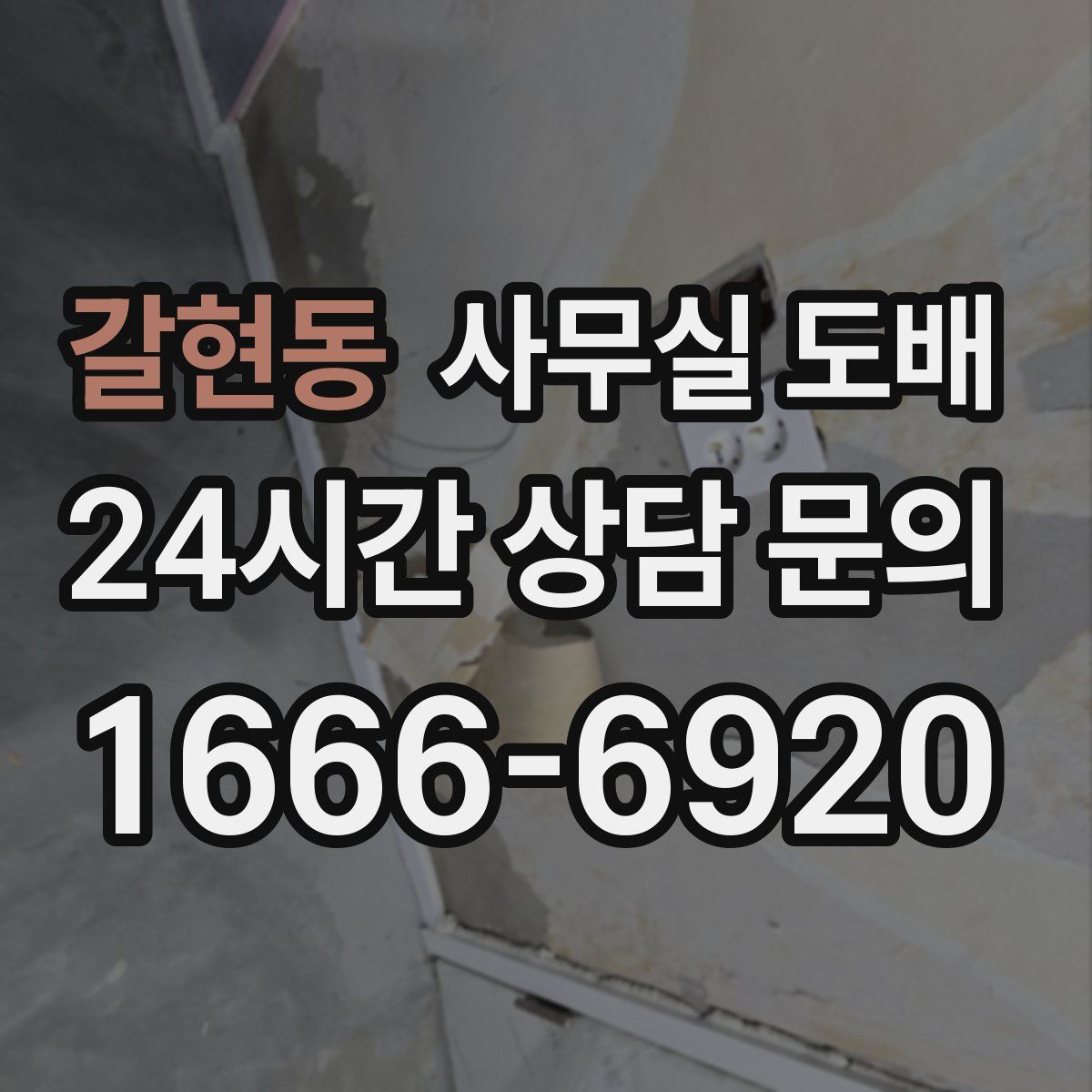 갈현동 사무실 도배