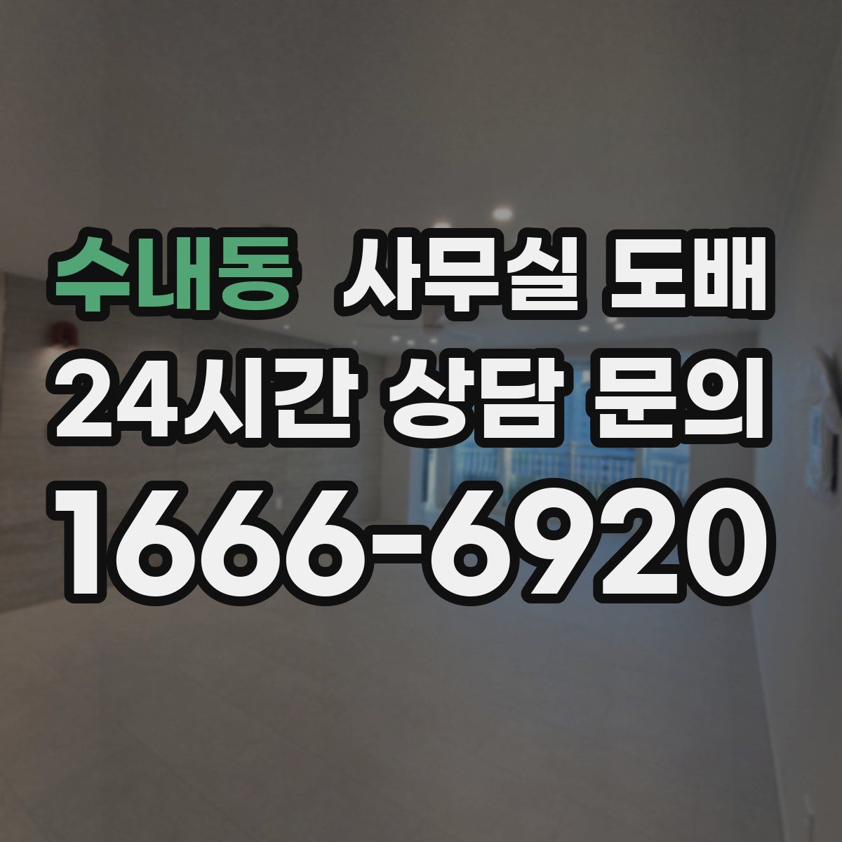 수내동 사무실 도배