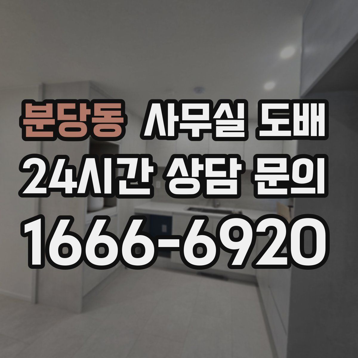분당동 사무실 도배