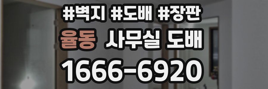 율동 사무실 도배