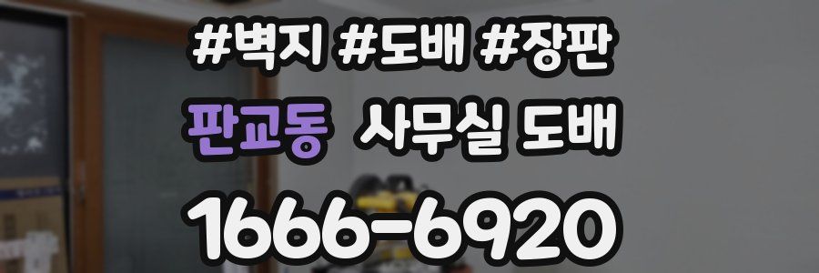 판교동 사무실 도배