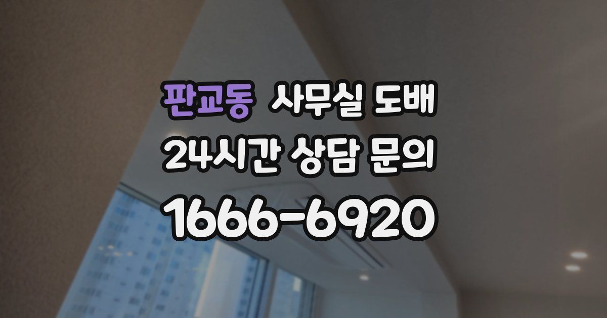 판교동 사무실 도배