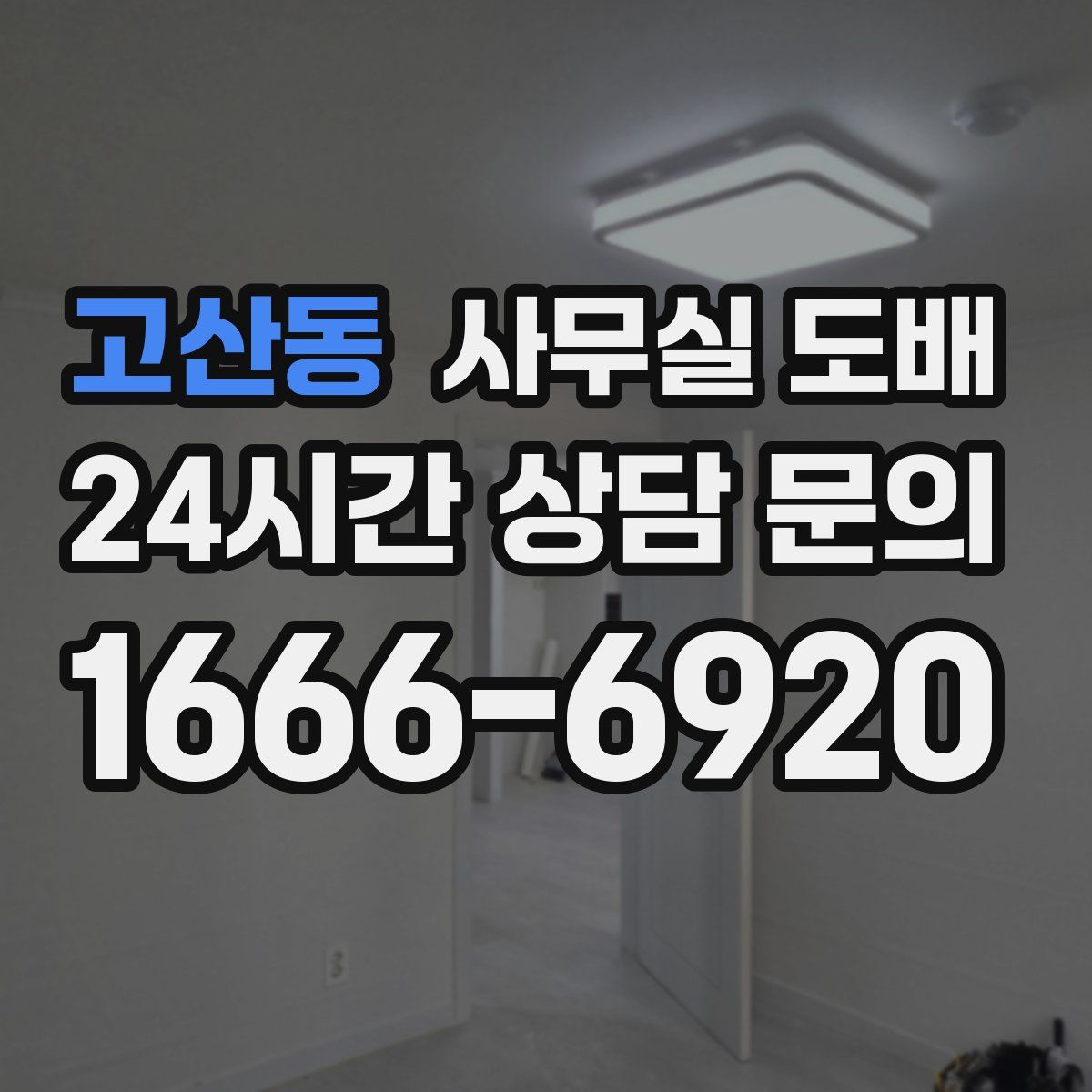 고산동 사무실 도배