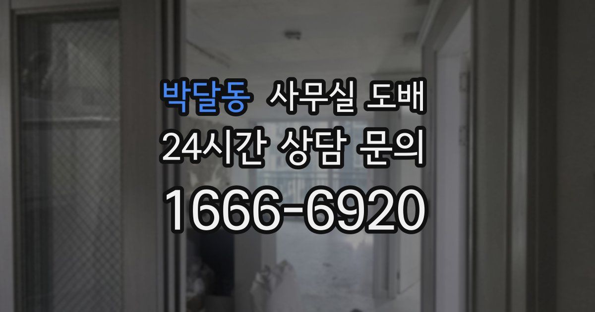 박달동 사무실 도배