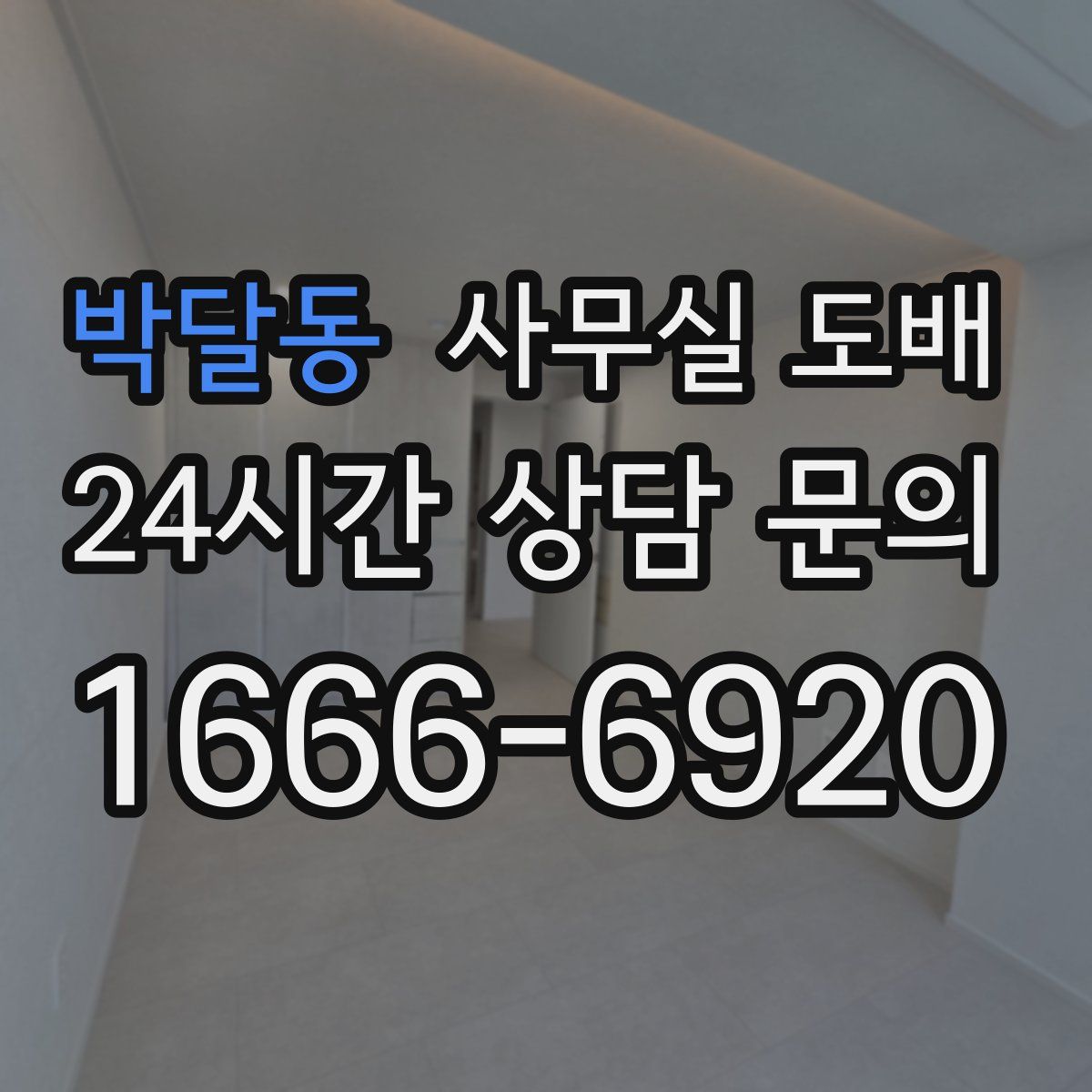 박달동 사무실 도배