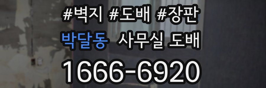 박달동 사무실 도배