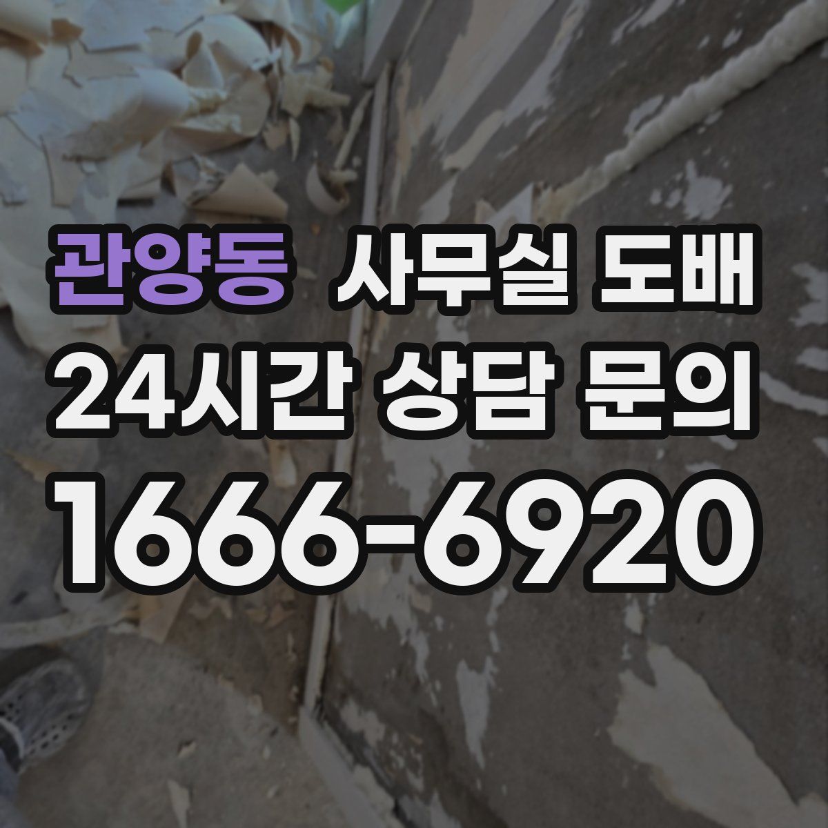 관양동 사무실 도배