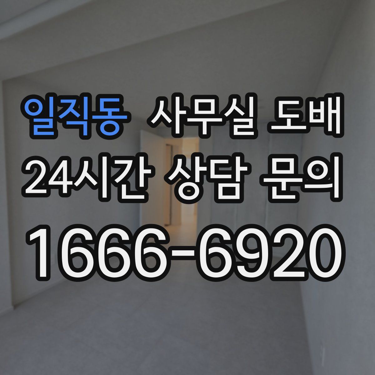 일직동 사무실 도배