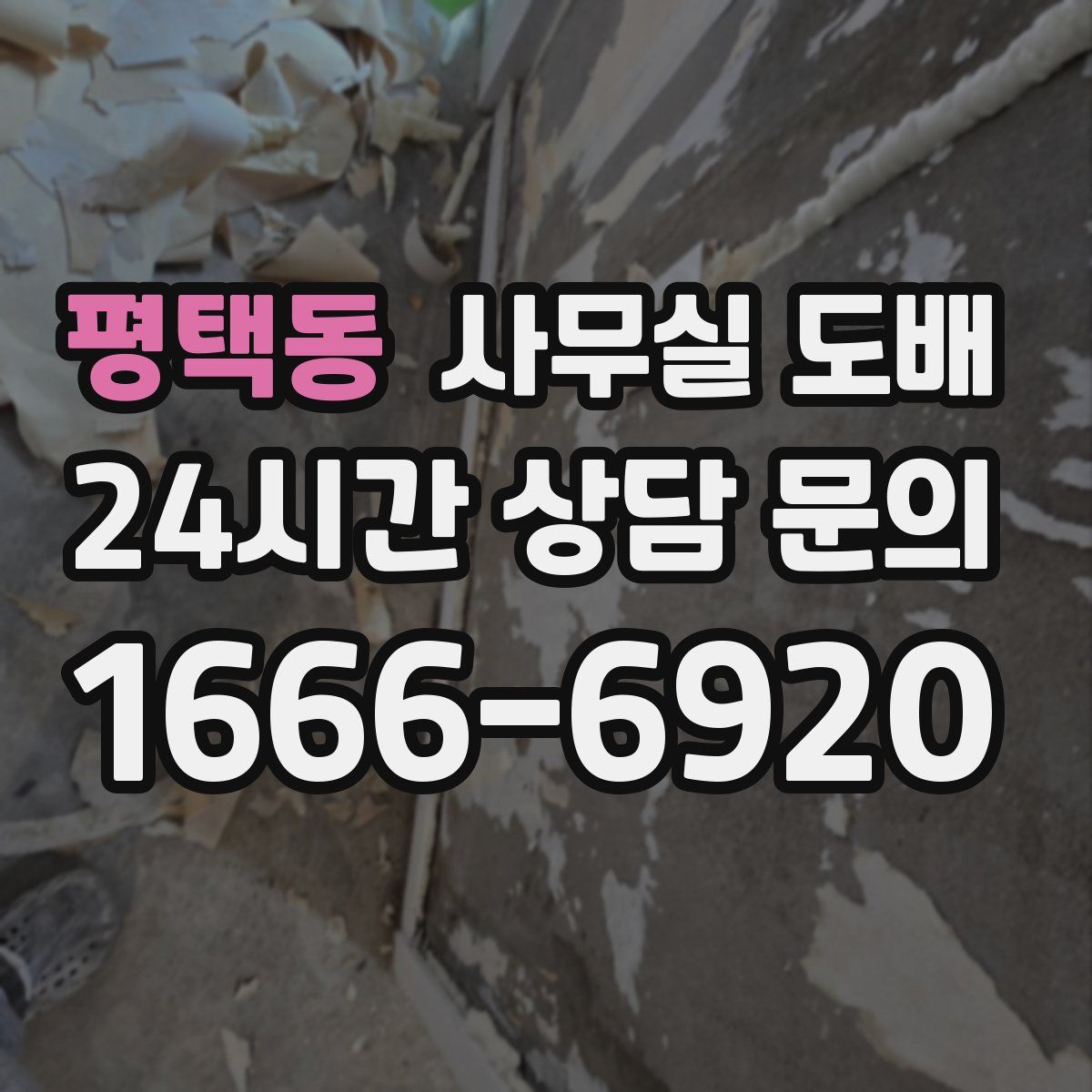 평택동 사무실 도배