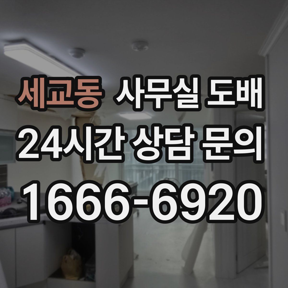 세교동 사무실 도배