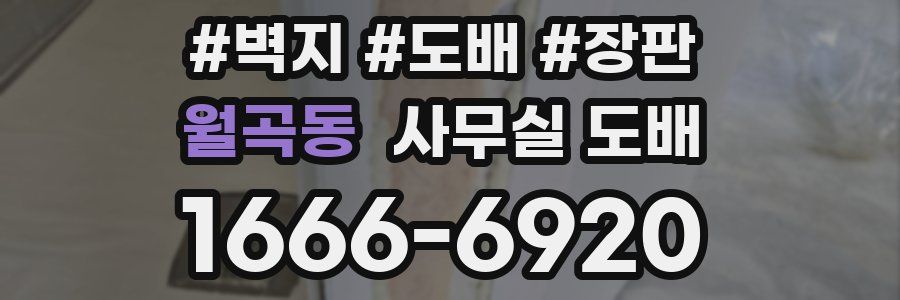 월곡동 사무실 도배