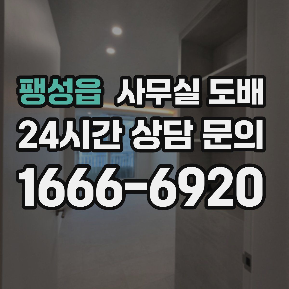 팽성읍 사무실 도배