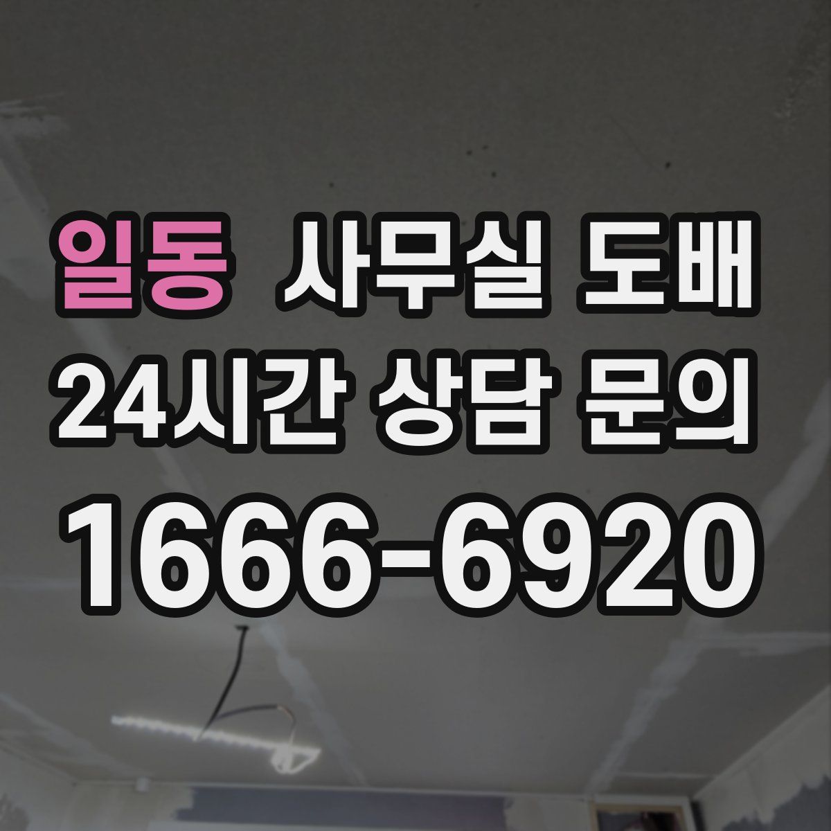 일동 사무실 도배