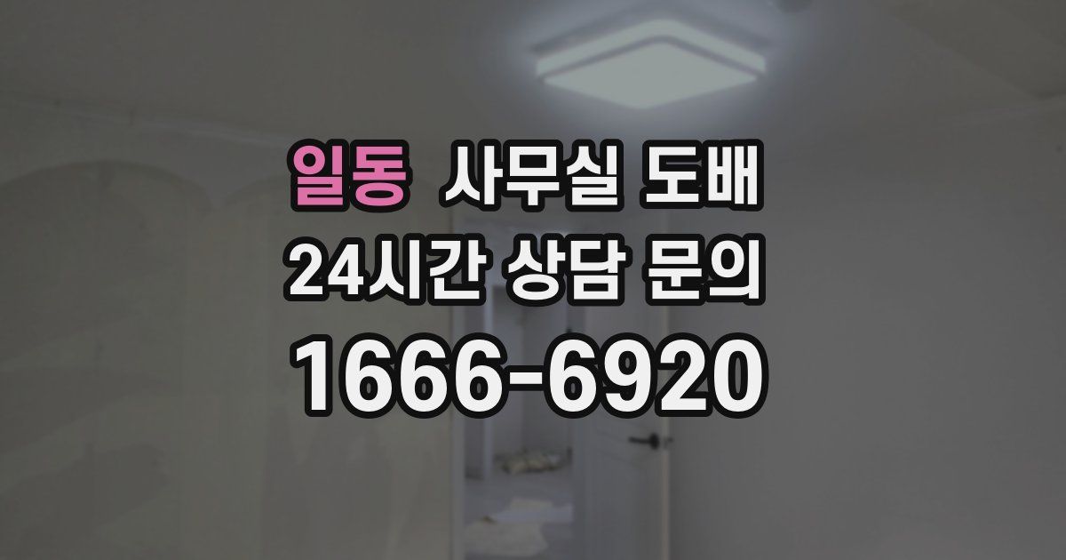 일동 사무실 도배