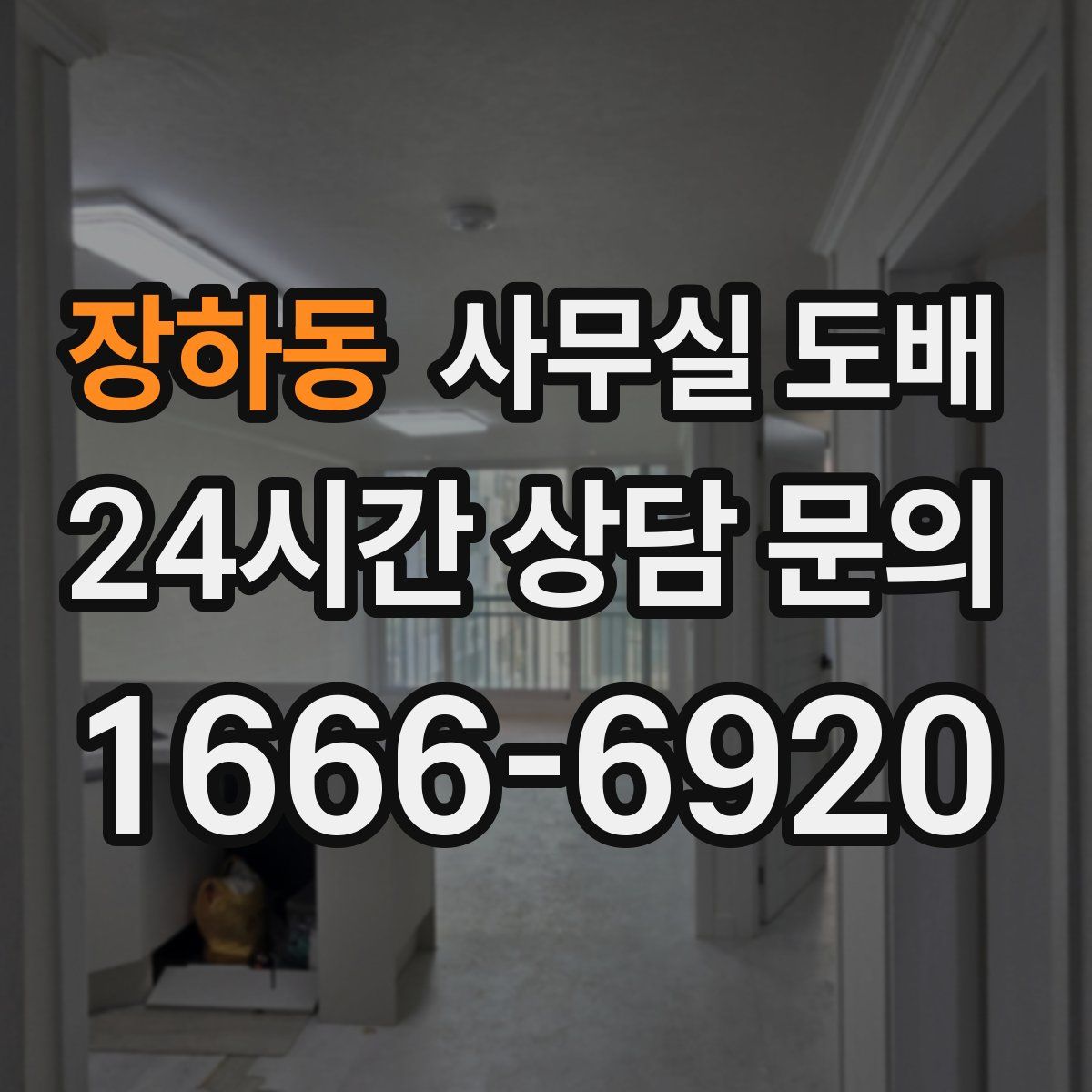 장하동 사무실 도배