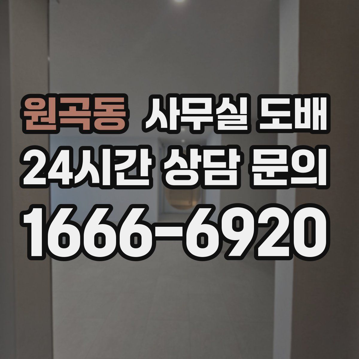 원곡동 사무실 도배