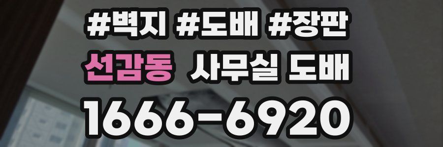 선감동 사무실 도배