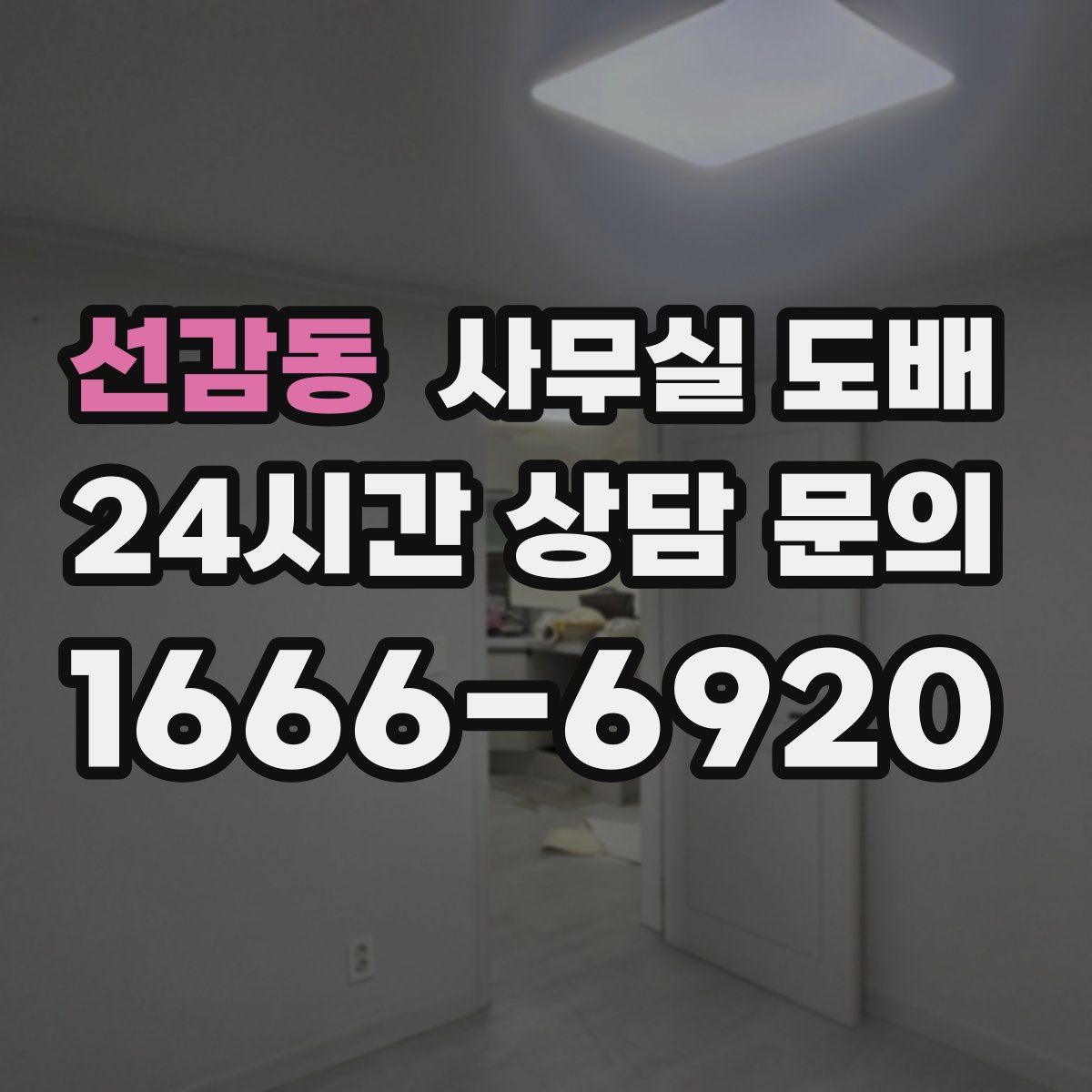 선감동 사무실 도배