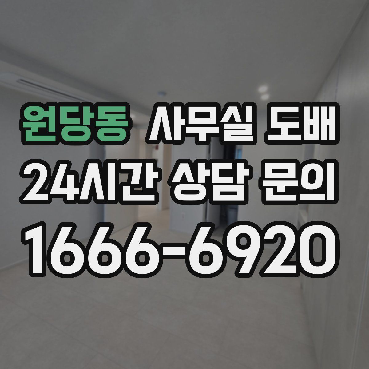 원당동 사무실 도배