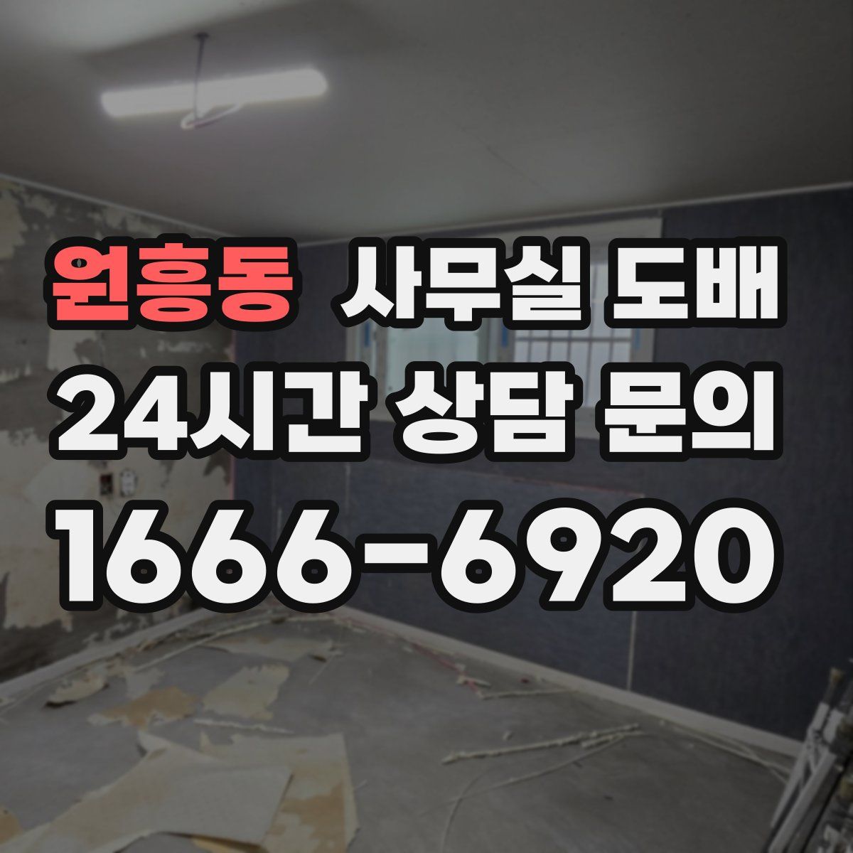 원흥동 사무실 도배