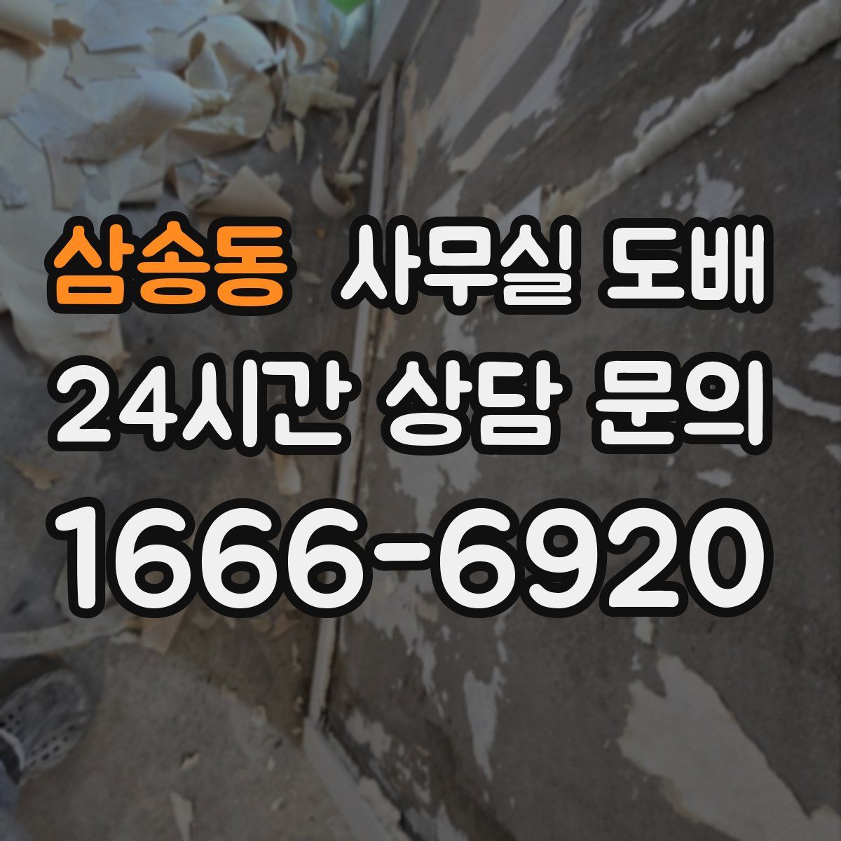 삼송동 사무실 도배