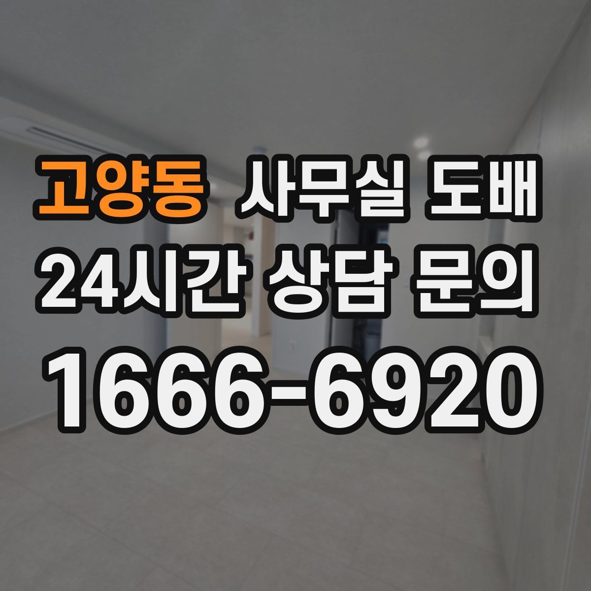 고양동 사무실 도배