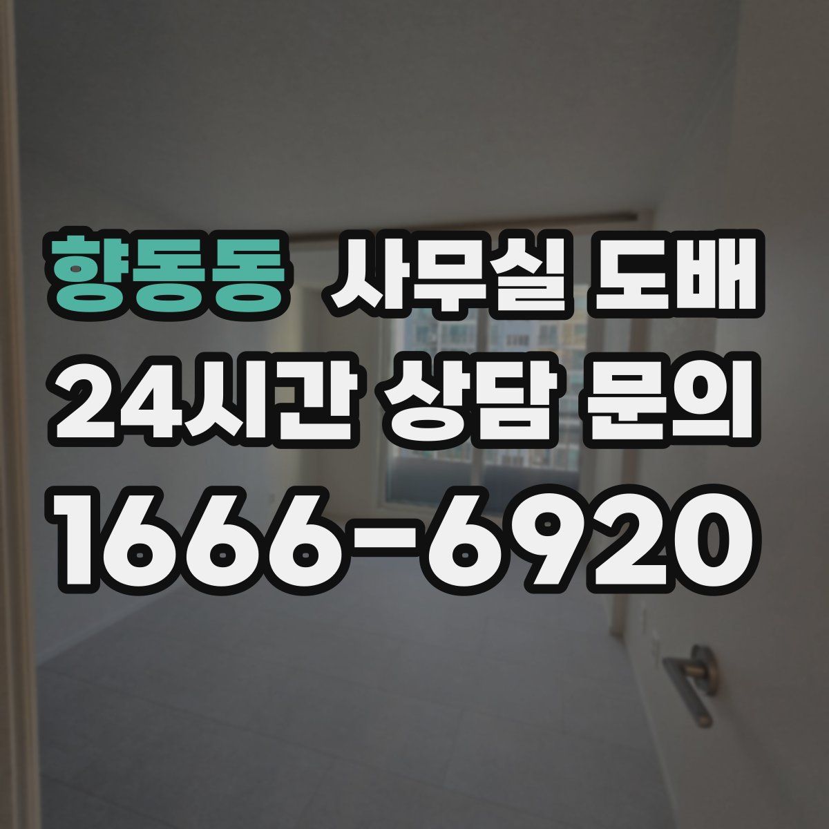 향동동 사무실 도배