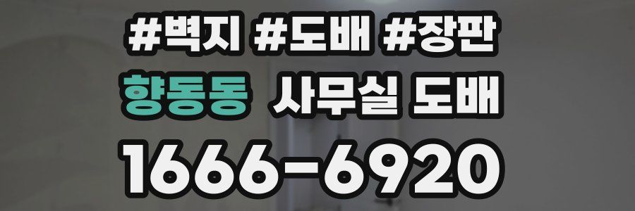 향동동 사무실 도배
