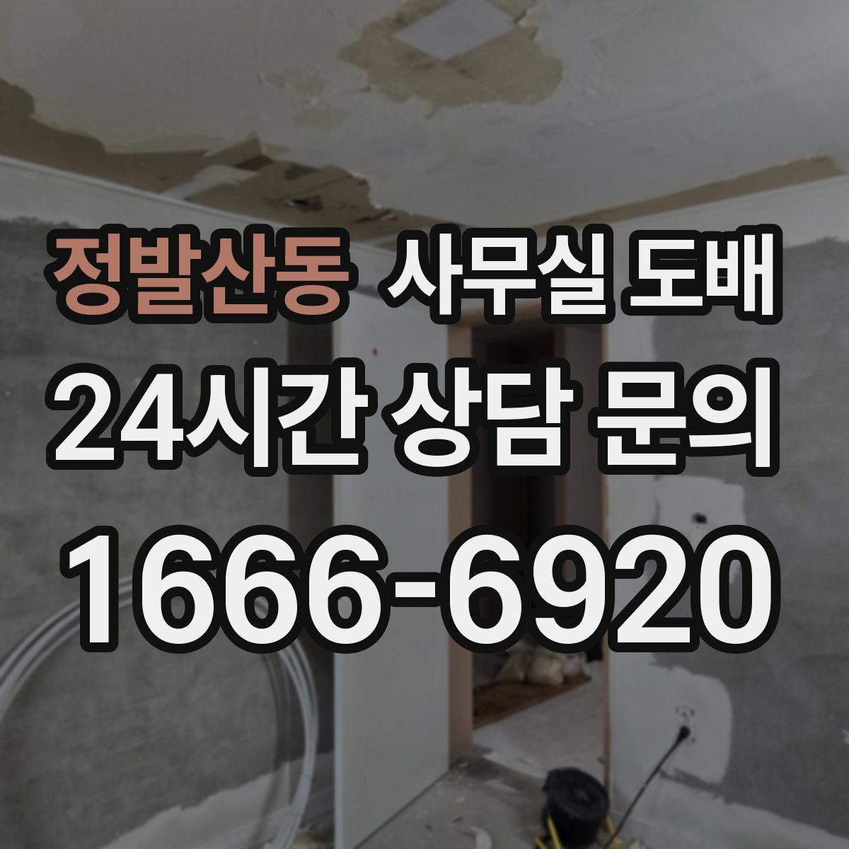 정발산동 사무실 도배
